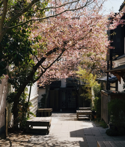 善光寺ゆかりの散歩道